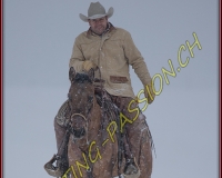 SEMSALES - 0221